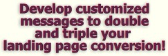 Develop customized messages to double and triple your landing page conversion