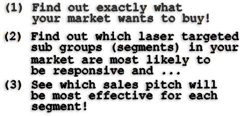 "1) Find out exactly what your market wants to buy, (2) Find out exactly which laser targeted sub-groups (segments) will be most responsive & (3) See which sales pitch will be most effective for each market segment!"